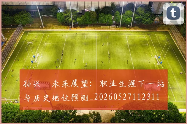 孙兴慜未来展望:职业生涯下一站与历史地位预测_20260527112311