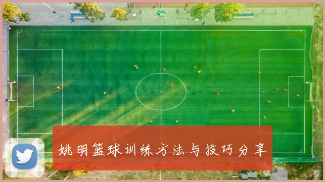 姚明篮球训练方法与技巧分享