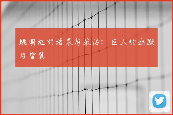 姚明经典语录与采访：巨人的幽默与智慧