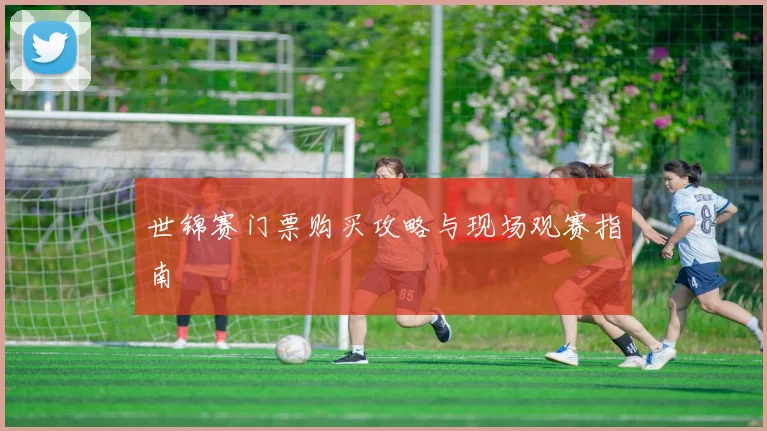 世锦赛门票购买攻略与现场观赛指南