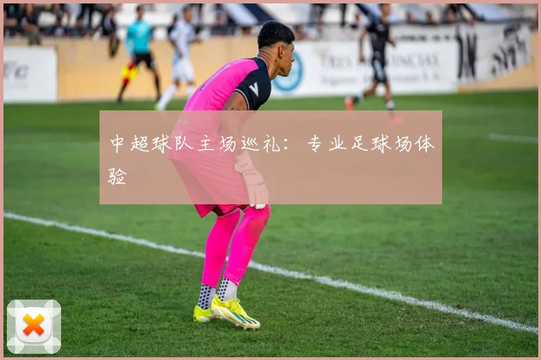 中超球队主场巡礼：专业足球场体验